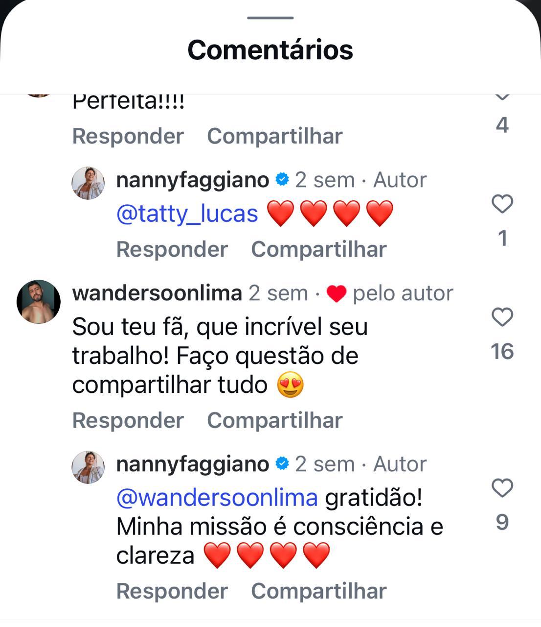 Comentário no Instagram elogiando o trabalho da Nanny Faggiano